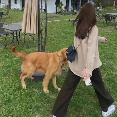 愤怒的船长