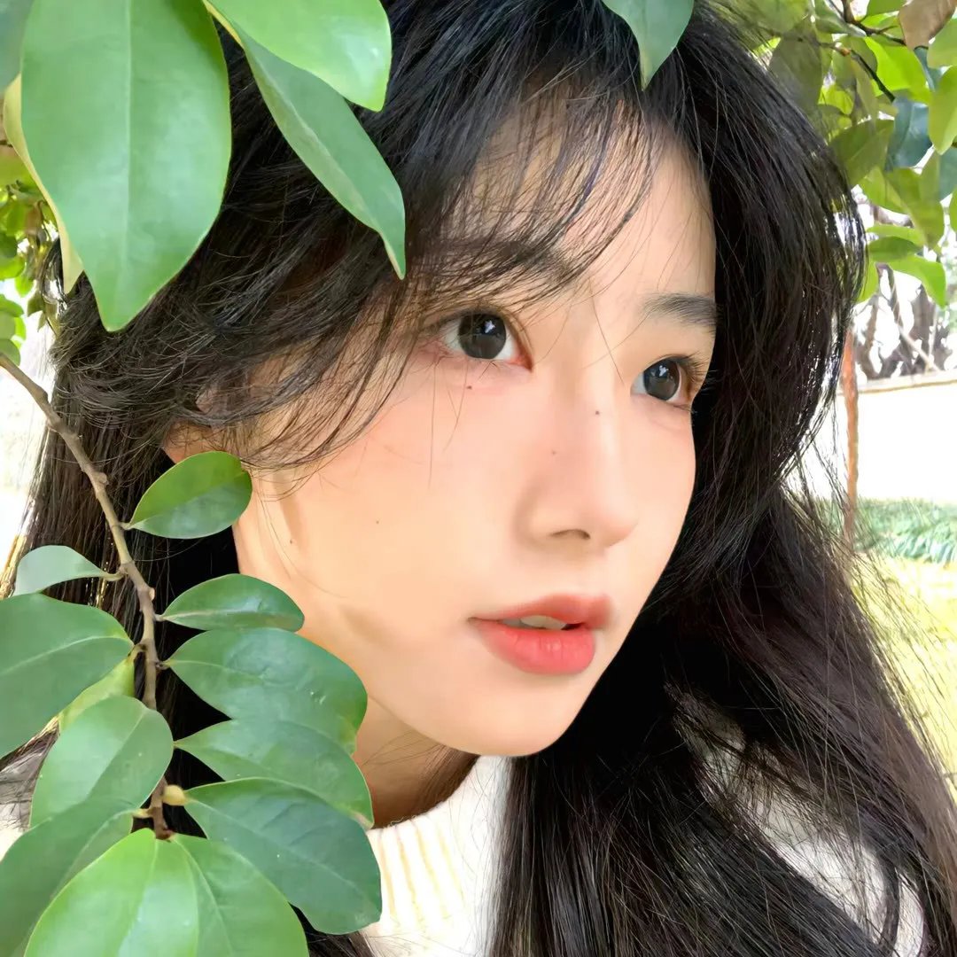 圣诞之声